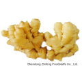 Fresh Ginger in China with High Quality